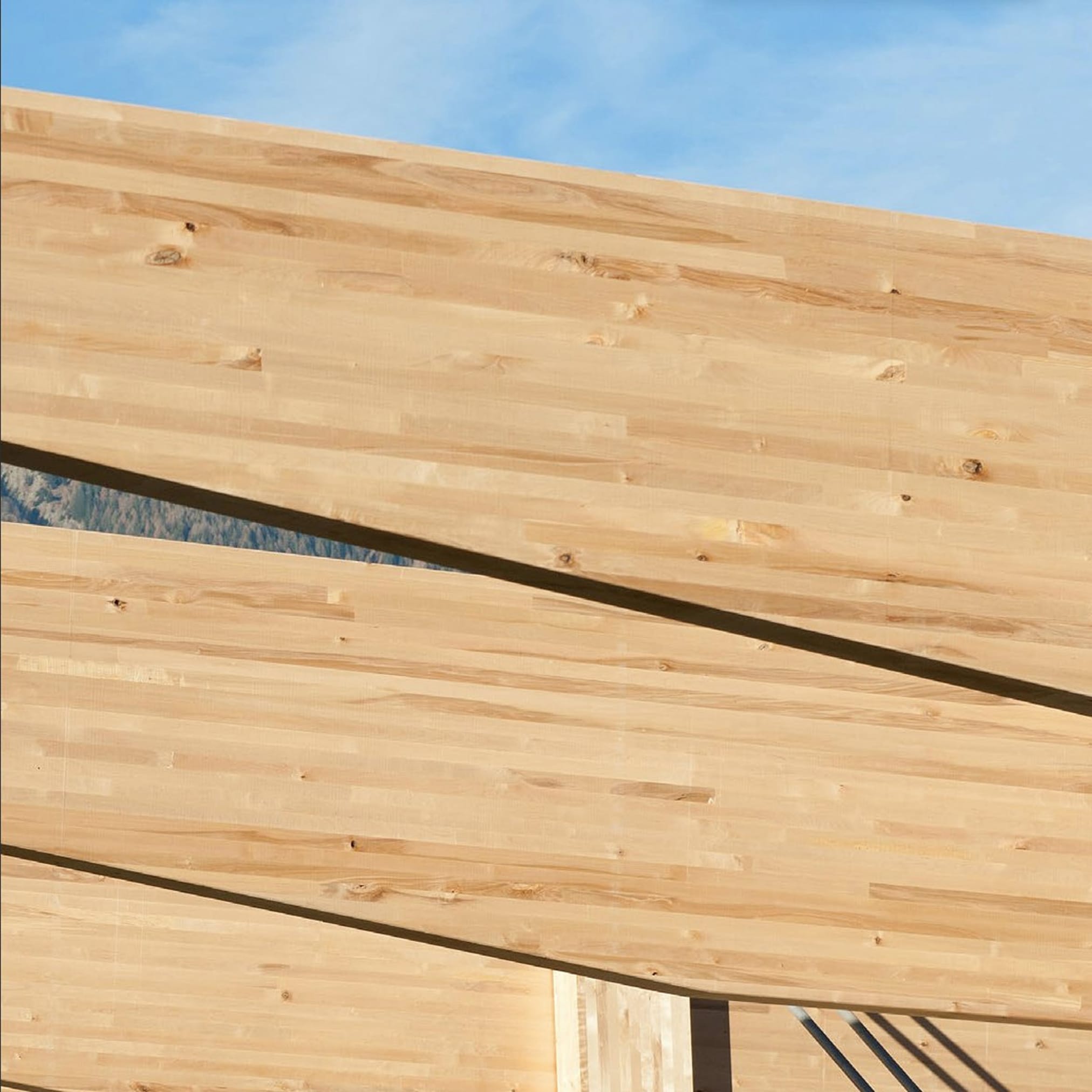 Zbliżenie na elewację budynku wykonaną z dużych, jasnych paneli z drewna klejonego warstwowo, z widocznym błękitnym niebem.