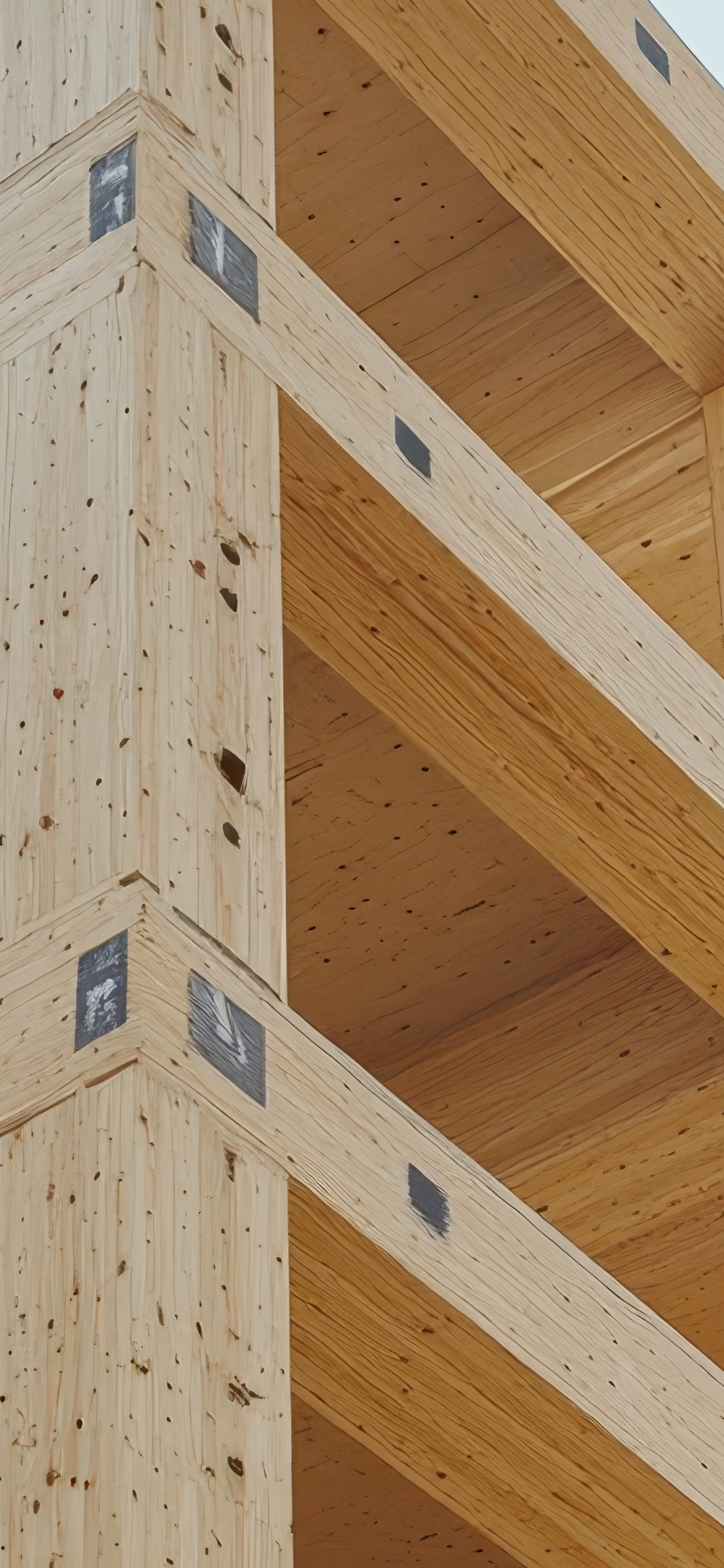A modern housing estate of wooden houses