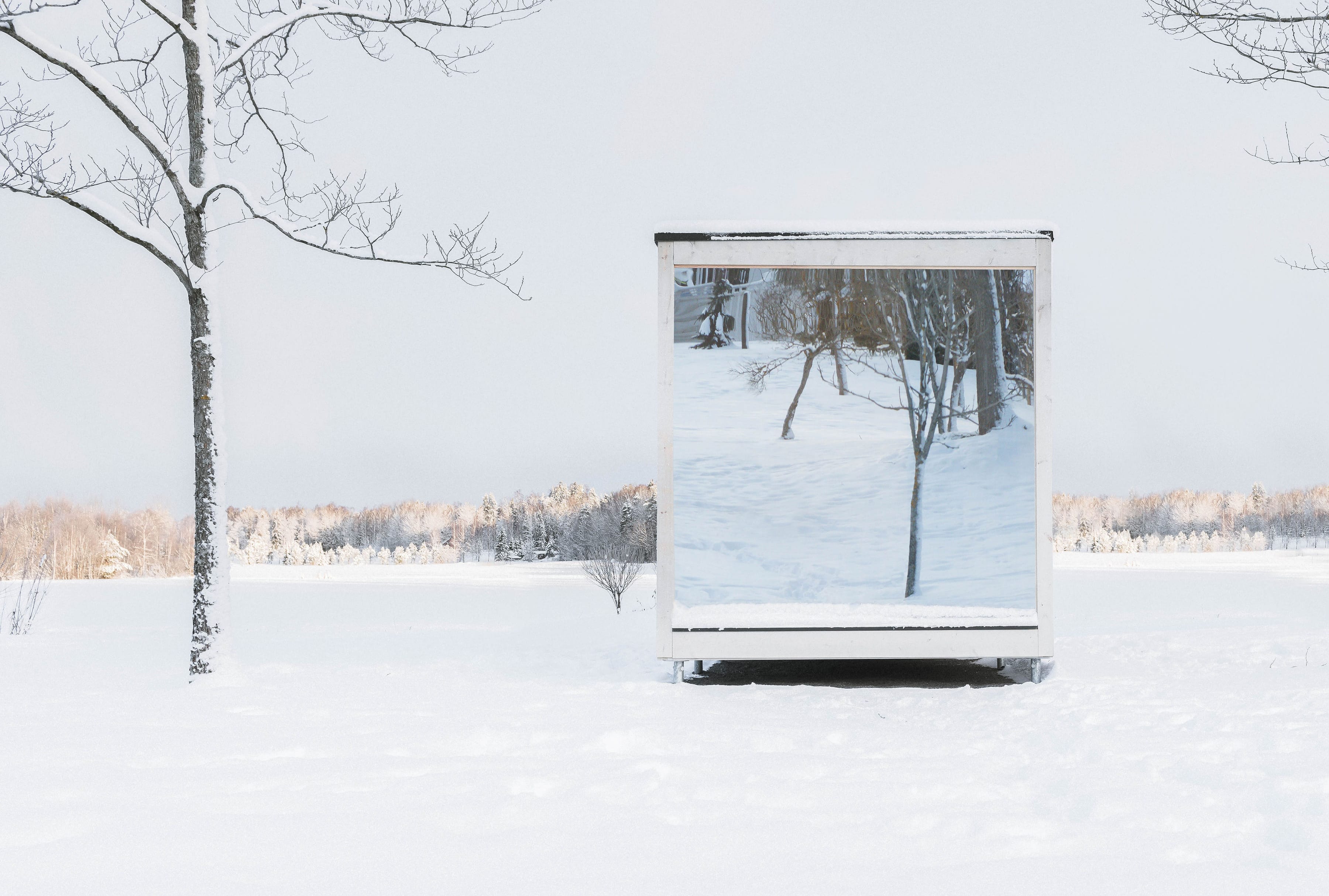 A white, minimalist cabin with panoramic windows stands in a snow-covered garden. The snow-covered trees are reflected in the panes.
