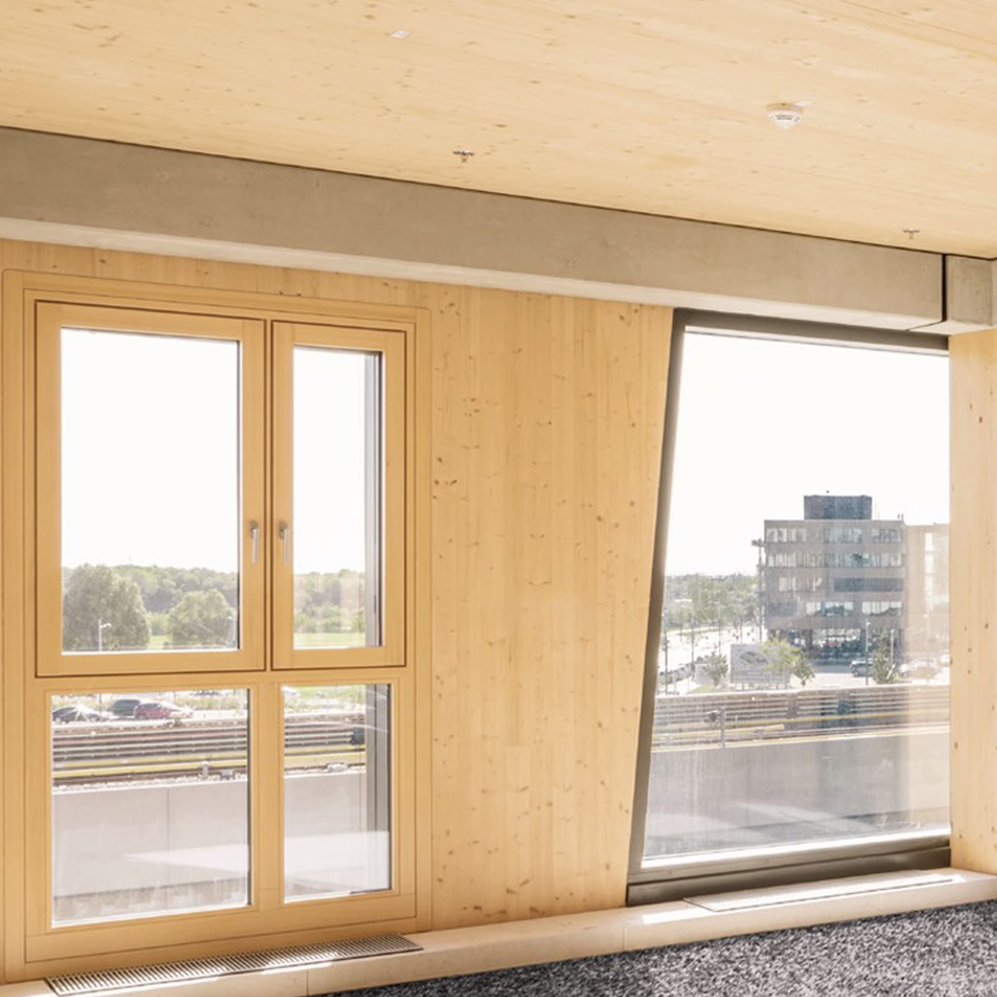 Load-bearing and partition walls